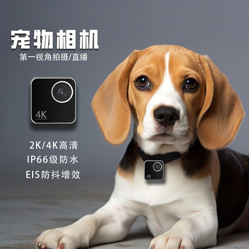 Cameras - 동물 고양이 강아지 애완동물 카메라 1인칭